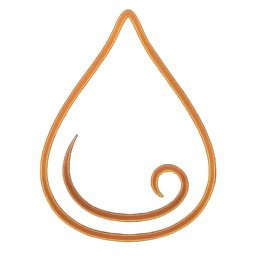 Salgado Box